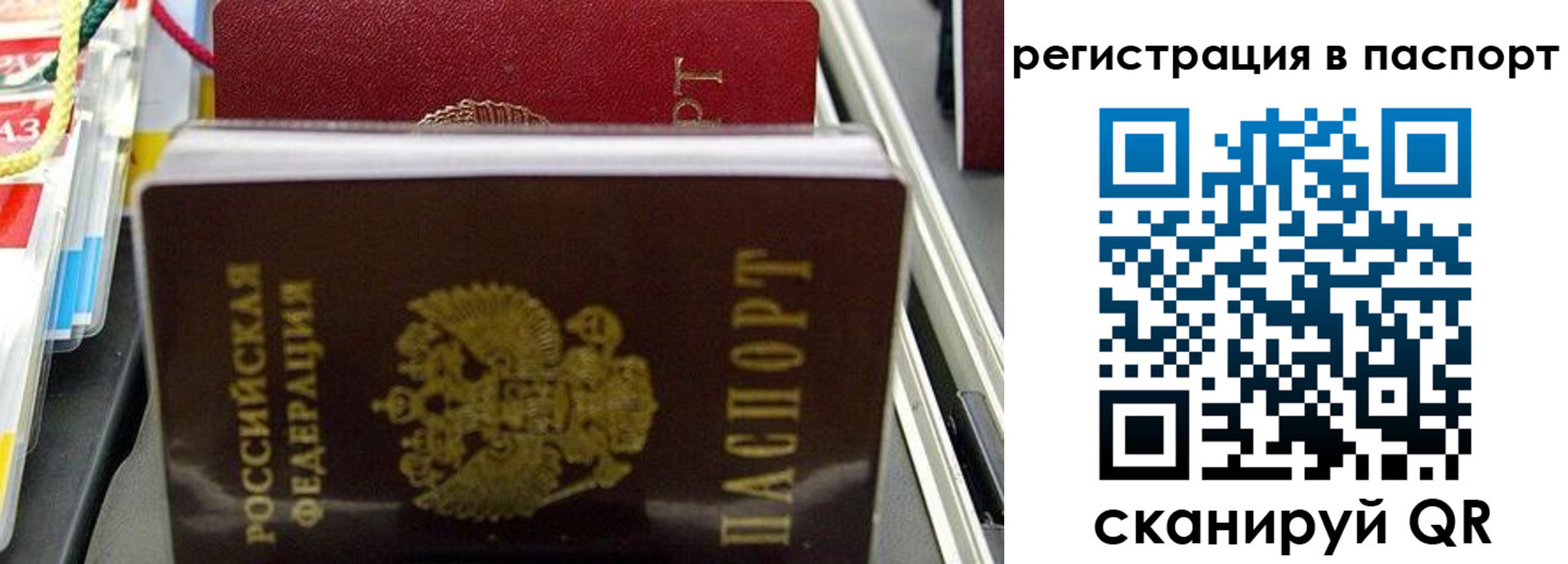 прописка для школы в Тольятти